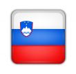 flag of slovenia