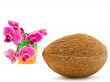 coconut and pink orchid