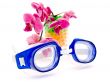 swimming glases