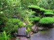 Small japanese garden