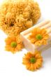 natural sponge, soap and flowers