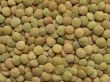 lentils background