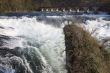 Rhine waterfall, Schaffhausen in Switzerland