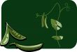 pea pod