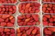 Strawberries in the bowl
