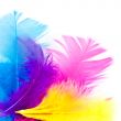 colorfull feathers with copy-space