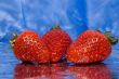 wet strawberries on a blue background