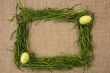Grass frame with eggs