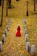 Lady in autumn forest