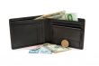 Wallet, banknotes and coins isolated