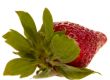 strawberry on white background
