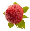 strawberry on white background