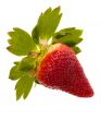 strawberry on white background