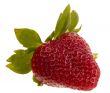 strawberry on white background