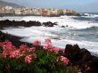 the black volcanic beach and the waves