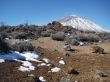 volcano Teide in Tenerife