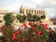 cathedral and flowers