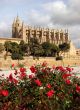 cathedral and flowers