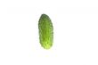 Green cucumber isolated on white background