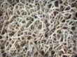 Abstract background from fractal chaos