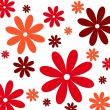 colorful flowers