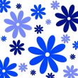 colorful flowers