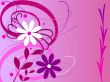 colorful flowers