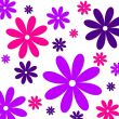 colorful flowers