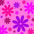colorful flowers