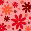 colorful flowers