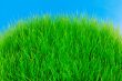 Green Hill