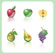 fruit