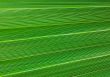 Green background