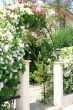 Flowers arch at the house