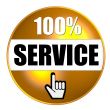 isolated 100 percent Service Button