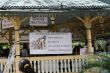 San Antonio Tea Party