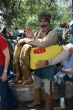 San Antonio Tea Party