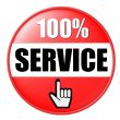 isolated 100 percent Service Button