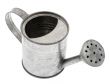 Watering can metal