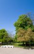 Spring park