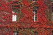 Beautiful facade of a building