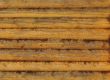 New log background