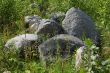 Big stones in grass