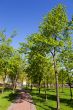 Spring in city
