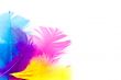 colorfull feathers with copy-space