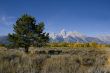 Grand Teton National Park