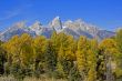  Grand Teton