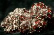 Pomegranates in silver