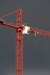 Crane
