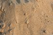 Sand